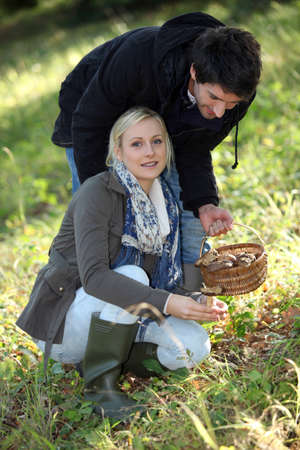 Couple picking mushrooms in a forestの写真素材
