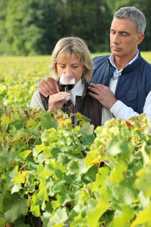 Couple tasting wine in a vineyard