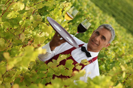 Waiter serving glasses of wine in a vineyardの写真素材