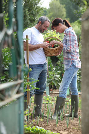 Couple in a garden with bootsの写真素材
