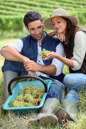 Couple in field eating grapesの写真素材
