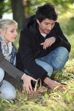 Couple looking for mushrooms in the forestの写真素材