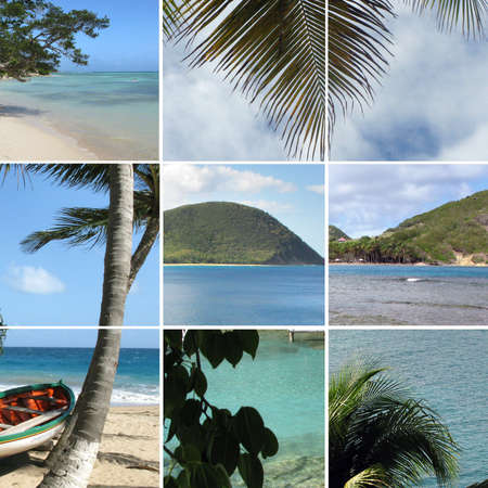 Images of a tropical paradiseの写真素材