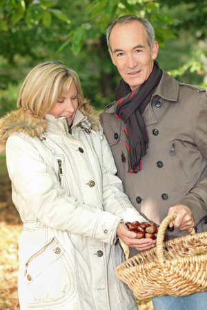 Couple collecting chestnuts in basketの写真素材