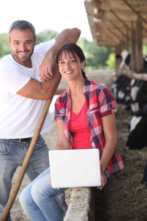 Livestock farm workersの写真素材