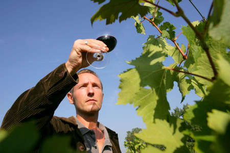 Man tasting a wineの写真素材