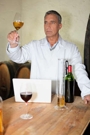 Winemaker analyzing wineの写真素材