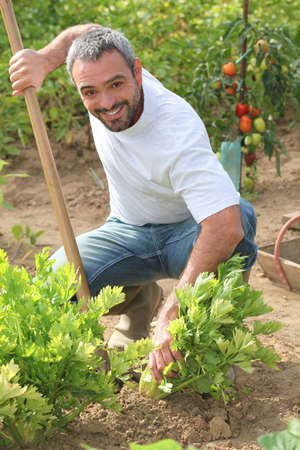Man tending to his gardenの写真素材