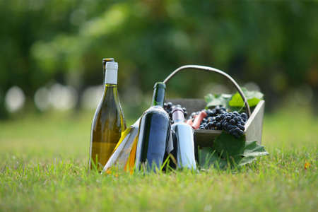 Basket and wine bottles in a fieldの写真素材