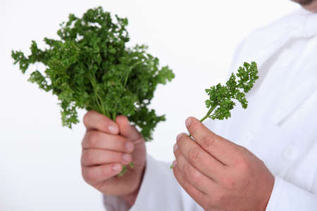Chef with fresh herbsの写真素材