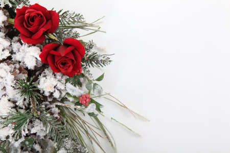 Winter bouquet of flowersの写真素材