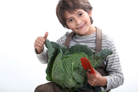 child gardening and holding a cabbage headの写真素材