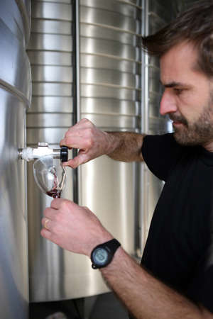 Man pouring wine from a stainless steel vatの写真素材