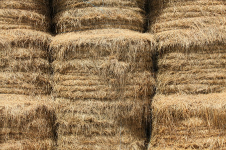 Closeup on haystacks