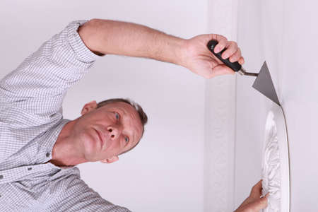 plasterer laying ceiling mouldingの写真素材