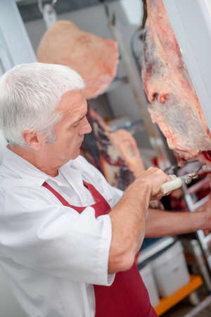 Butcher calving meatの写真素材
