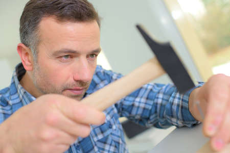 Carpenter using a hammerの写真素材