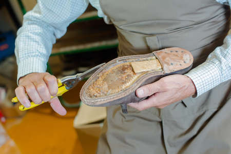 Shoe maker preparing a shoeの写真素材
