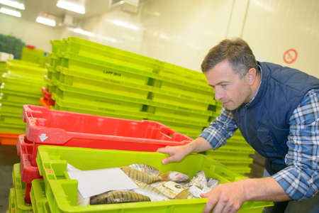 fresh seafoodの写真素材