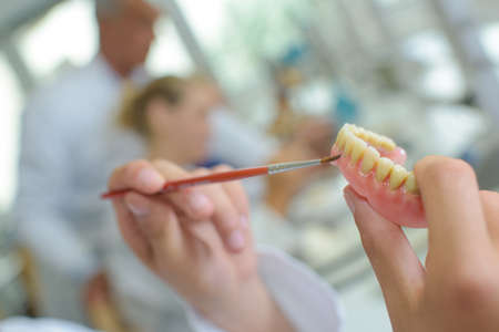 Closeup of paintbrush on false teethの写真素材