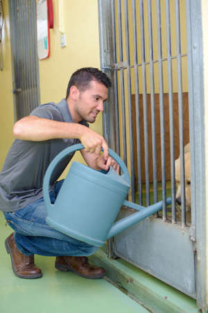 Man putting water into dog kennel with watering canの写真素材