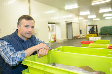 big fish in the containerの写真素材