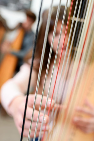 Woman playing the harpの写真素材