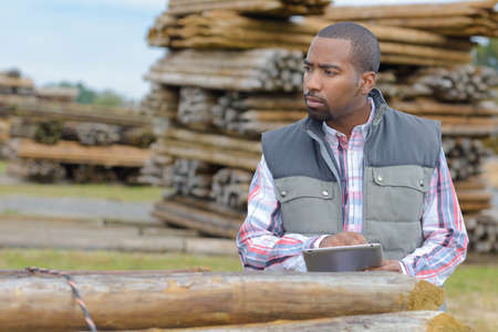 in the lumberyardの写真素材