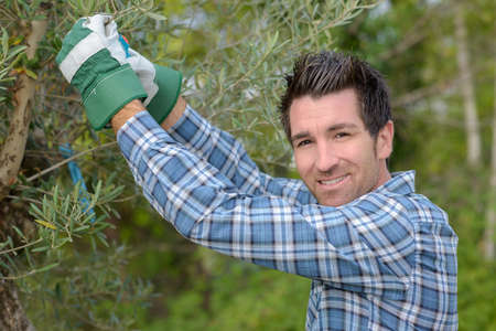 removing unwanted plantsの写真素材