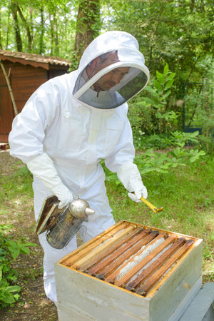 smoking the bees