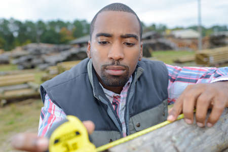 Man measuring tree trunkの写真素材