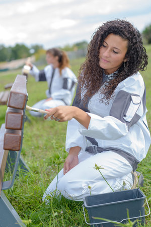 brushing the bench