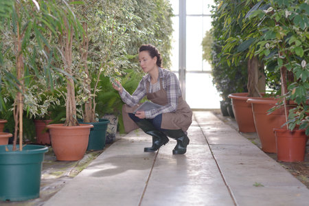 woman gardener working in garden store