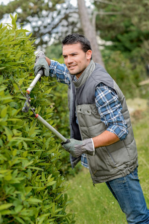 Man trimming bush with shears