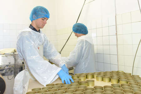 in the canning factoryの写真素材
