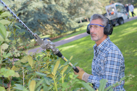Mature gardener using hedge cutter