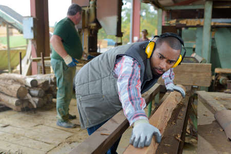 grading the logの写真素材