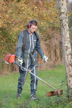 Young man strimming around tree