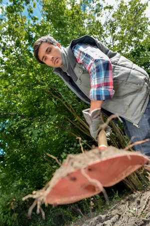 man diggingの写真素材