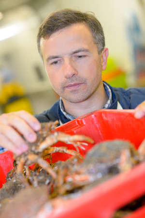 Man holding live crabの写真素材