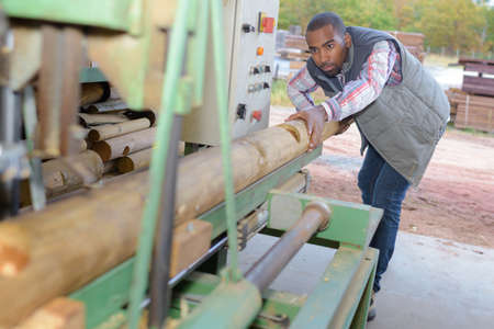 removing the barkの写真素材