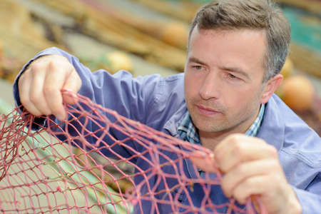 raising a netの写真素材