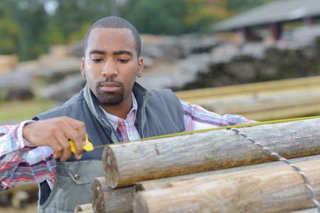 Man measuring length of tree trunkの写真素材