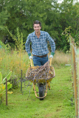 Man pushing wheelbarrow of pruningsの写真素材