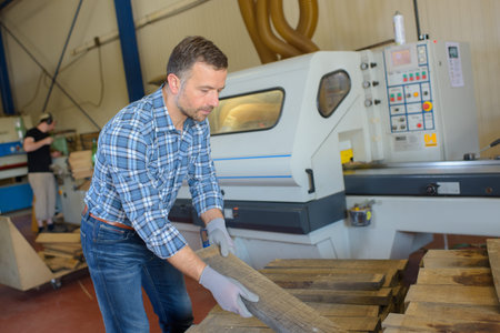 industry wood processing