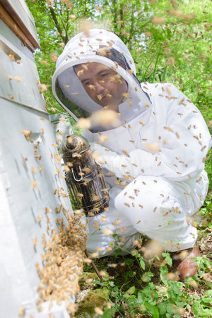 beekeeper smoking the hive