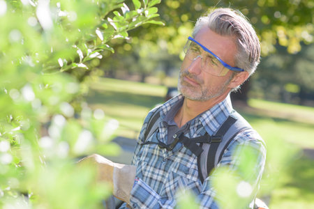 Man hedgetrimmingの写真素材