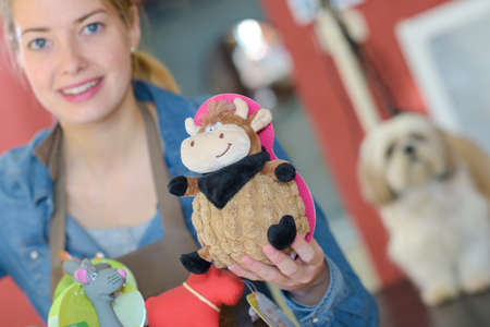 woman showing toys for petsの写真素材