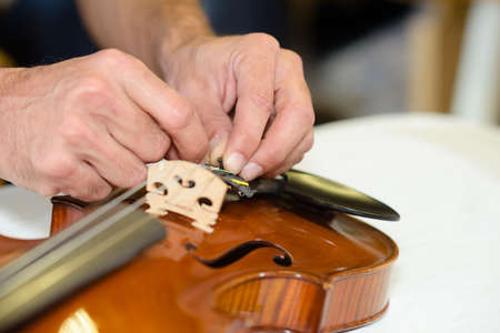 putting new violin bridgeの写真素材