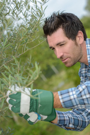 Man working with plants